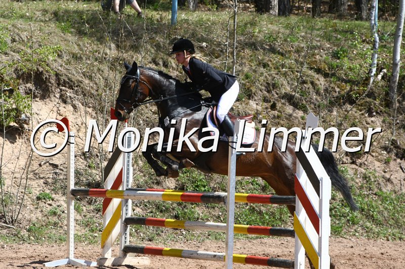 204M8204_Con Calanda_Springpferde_A.JPG